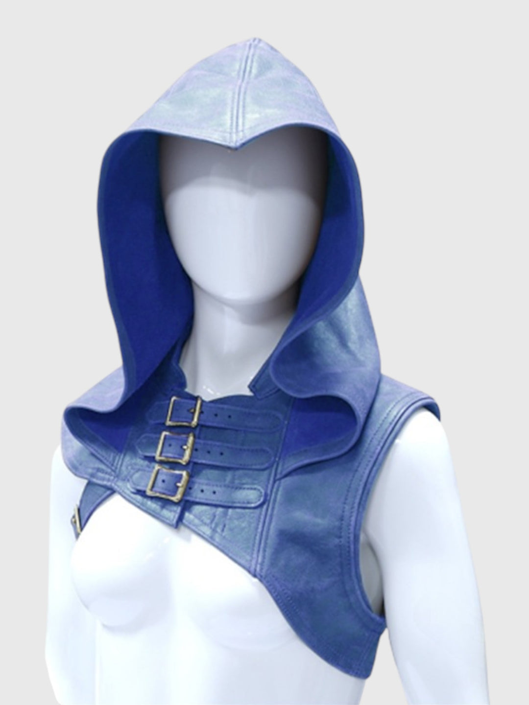 Rogue Adventurer Cosplay Hood